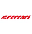 Logo F.lli Ferrari 650x75mm
